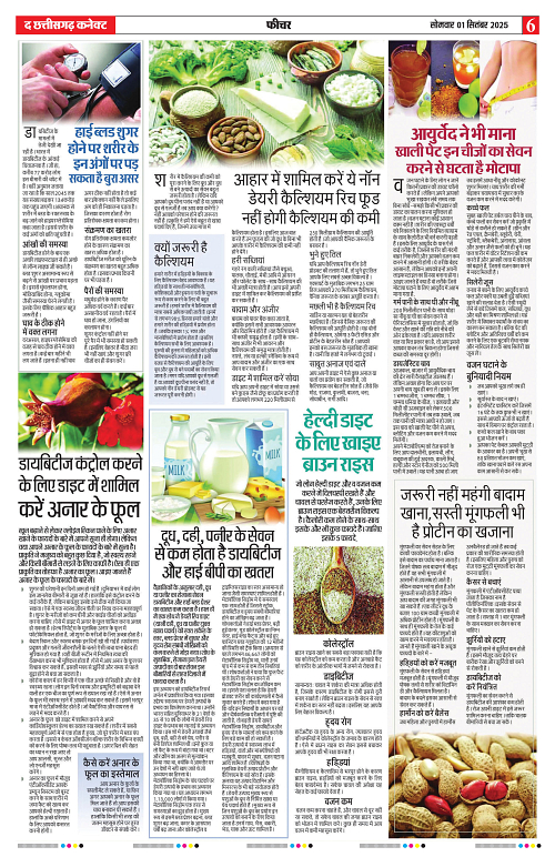 THE CHHATTISGARH CONNECT 01 Sep 2025-images-5