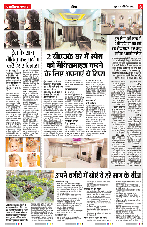 THE CHHATTISGARH CONNECT 03 Sep 2025_page-0006