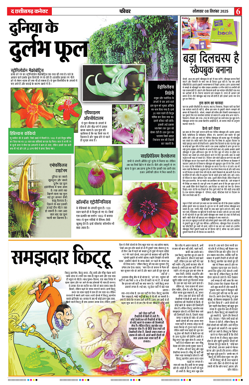 THE CHHATTISGARH CONNECT 08 Sep 2025-images-5