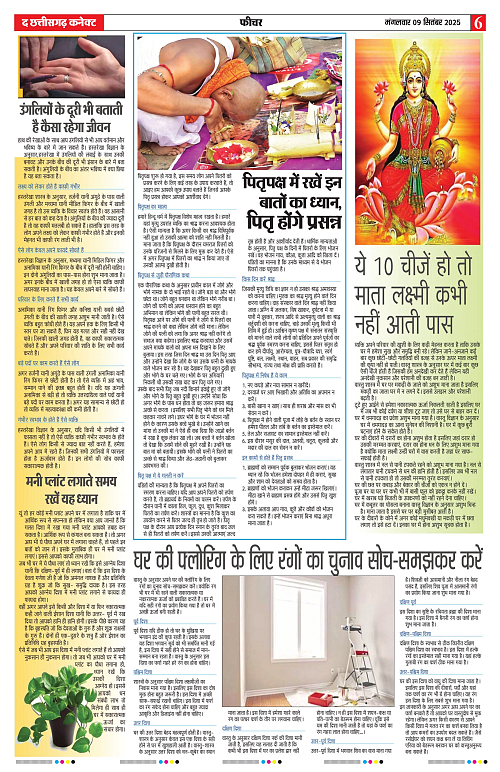 THE CHHATTISGARH CONNECT 09 Sep 2025_page-0006